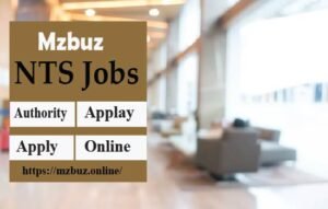 Latest National Testing Service Jobs 2023